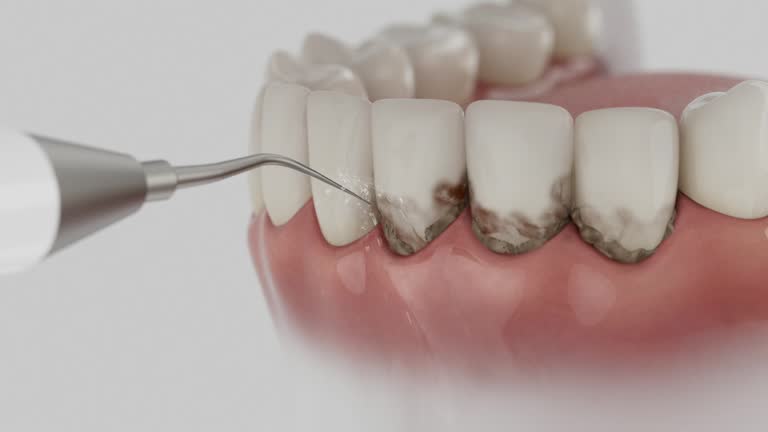 Reliable Dental contractor in Girardville, PA by Dentist Open Now